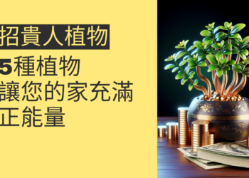 吸引財氣的秘密:5種招貴人植物,讓您的家充滿正能量