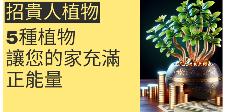 吸引財氣的秘密：5種招貴人植物，讓您的家充滿正能量