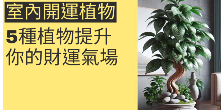 5種室內開運植物提升你的財運氣場