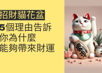 5個理由告訴你為什麼招財貓花盆能夠為你帶來財運