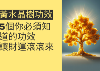 5個你必須知道的黃水晶樹功效,讓財運滾滾來