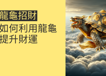 龍龜招財的4大秘訣:如何利用龍龜提升財運