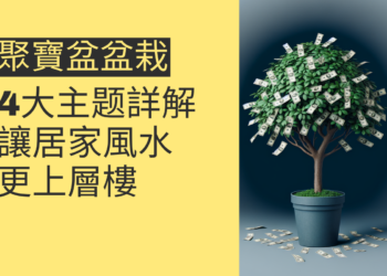 聚寶盆盆栽:4大主题詳解,讓你的居家風水更上層樓