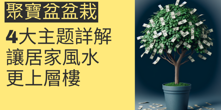 聚寶盆盆栽：4大主题詳解，讓你的居家風水更上層樓