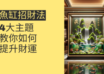 魚缸招財法：4大主題教你如何在家中提升財運