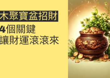掌握木聚寶盆招財法的4個關鍵,讓財運滾滾來