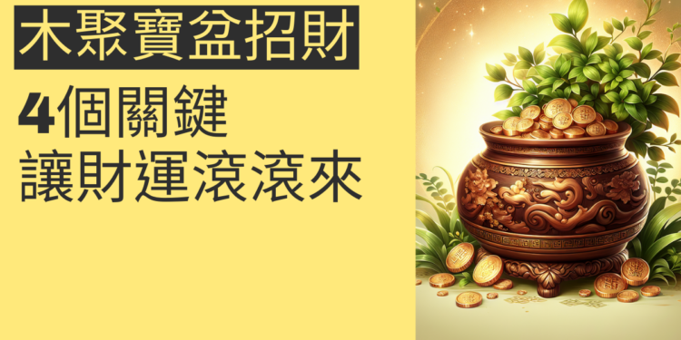 掌握木聚寶盆招財法的4個關鍵,讓財運滾滾來