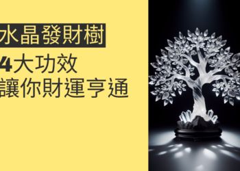 水晶發財樹的4大功效,讓你財運亨通
