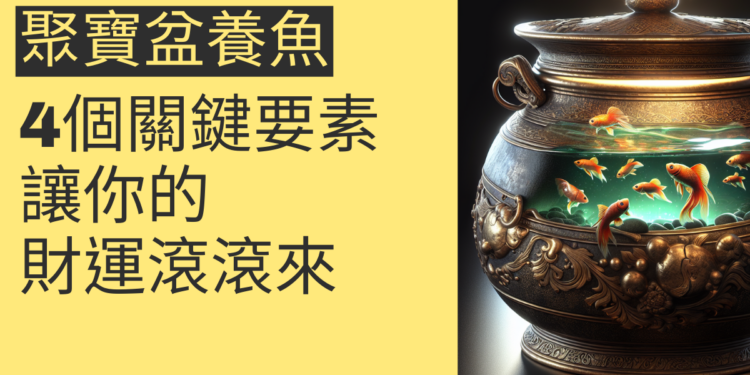 聚寶盆養魚的4個關鍵要素，讓你的財運滾滾來
