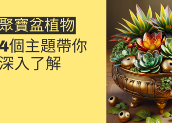 聚寶盆植物的風水奧秘:4個主題帶你深入了解