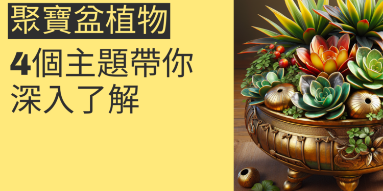 聚寶盆植物的風水奧秘:4個主題帶你深入了解