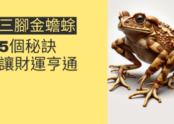 揭秘三腳金蟾蜍：5個秘訣讓財運亨通