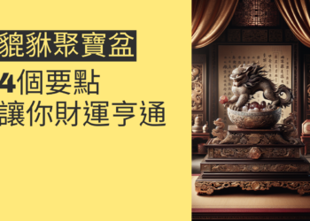 貔貅聚寶盆擺放的4個要點,讓你財運亨通