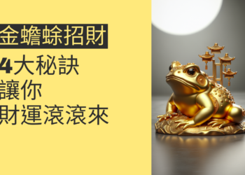 金蟾蜍招財的4大秘訣,讓你財運滾滾來