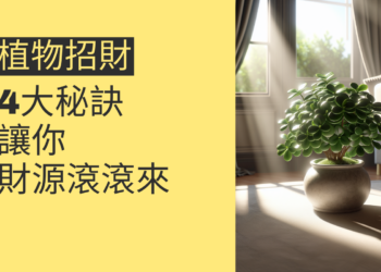 植物招財的4大秘訣,讓你財源滾滾來