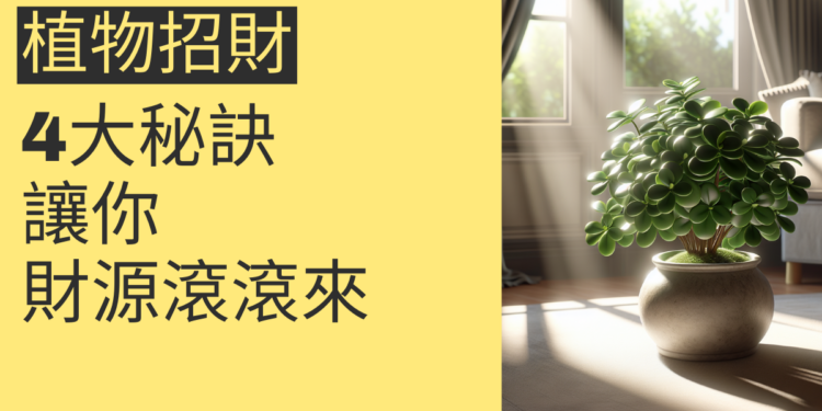 植物招財的4大秘訣,讓你財源滾滾來