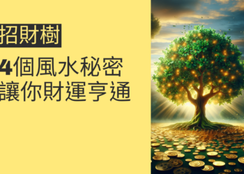 招財樹的4個風水秘密,讓你財運亨通