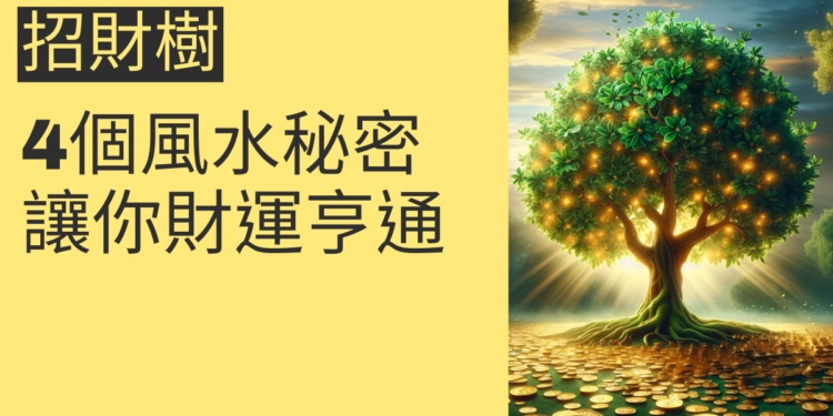 招財樹的4個風水秘密,讓你財運亨通