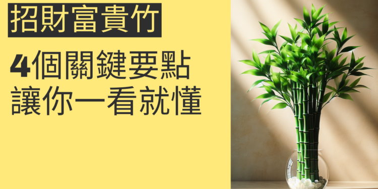 如何利用招財富貴竹增強財運？4個關鍵要點讓你一看就懂