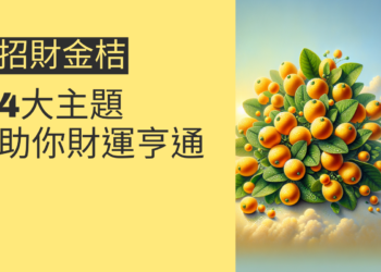 掌握招財金桔的秘密:4大主題助你財運亨通