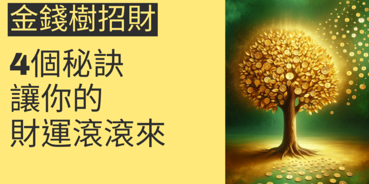 金錢樹招財的4個秘訣,讓你的財運滾滾來