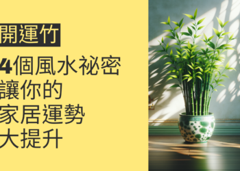 開運竹的4個風水祕密,讓你的家居運勢大提升