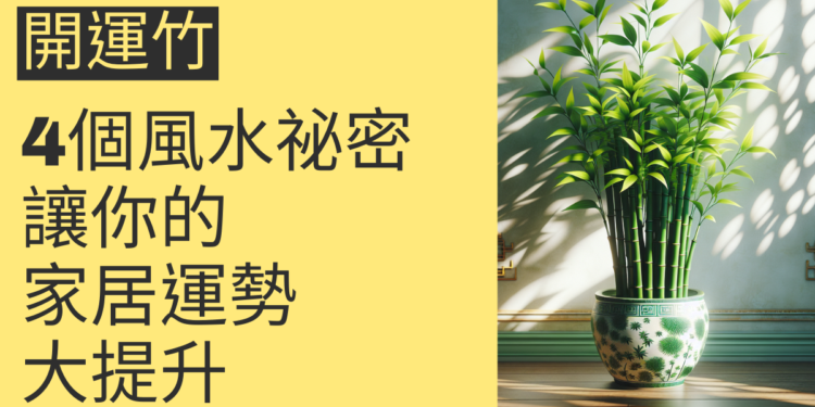 開運竹的4個風水祕密,讓你的家居運勢大提升