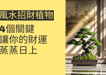 風水招財植物的4個關鍵,讓你的財運蒸蒸日上