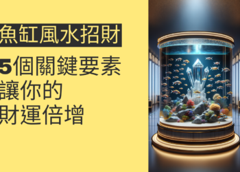 魚缸風水招財的5個關鍵要素,讓你的財運倍增