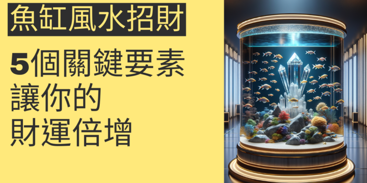 魚缸風水招財的5個關鍵要素,讓你的財運倍增
