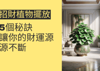 招財植物擺放的5個秘訣,讓你的財運源源不斷