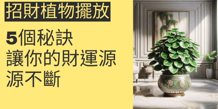招財植物擺放的5個秘訣,讓你的財運源源不斷
