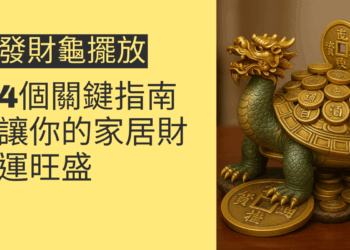 發財龜擺放的4個關鍵指南，讓你的家居財運旺盛