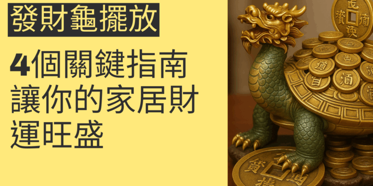 發財龜擺放的4個關鍵指南，讓你的家居財運旺盛
