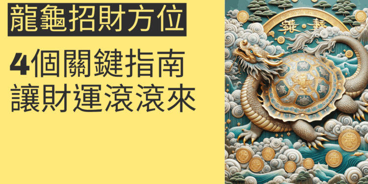 龍龜招財方位的4個關鍵指南，讓財運滾滾來