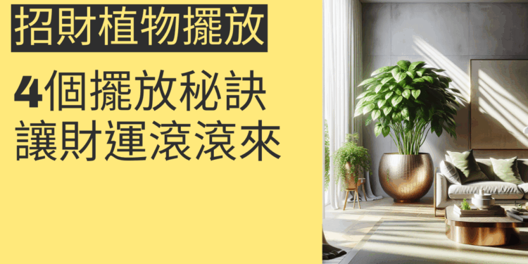 客廳招財植物的4個擺放秘訣，讓財運滾滾來