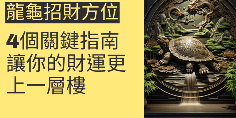 龍龜招財方位的4個關鍵指南，讓你的財運更上一層樓