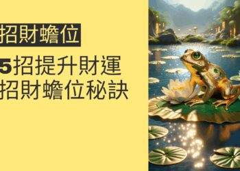 5招提升財運的招財蟾位秘訣