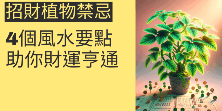 招財植物禁忌大揭密：4個風水要點助你財運亨通