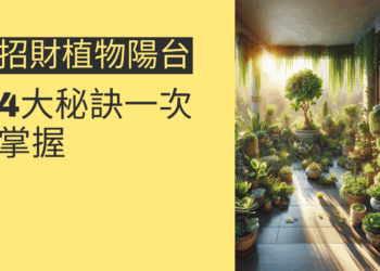 如何利用陽台招財植物提升財運？4大秘訣一次掌握