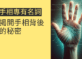 手相專有名詞解析：揭開手相背後的秘密