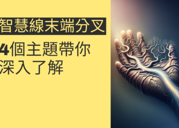 智慧線末端分叉的秘密：4個主題帶你深入了解