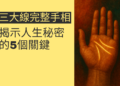 三大線完整手相解析：揭示人生秘密的5個關鍵