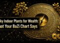 Lucky Indoor Plants for Wealth: What Your BaZi Chart Says